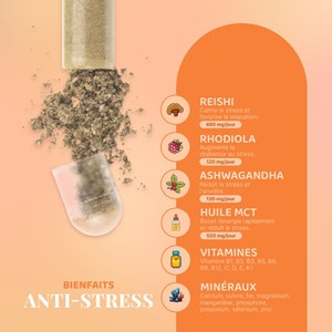Anti stress-champignon adaptogène 1 mois