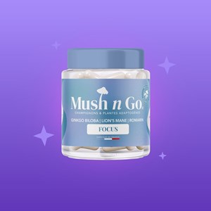 Focus-cure champignon adaptogène 1 mois