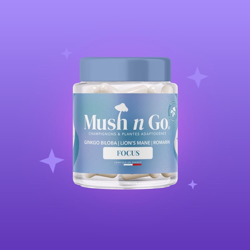 Focus-cure champignon adaptogène 1 mois