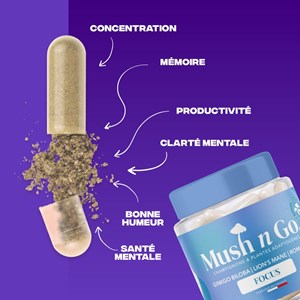 Focus-cure champignon adaptogène 1 mois