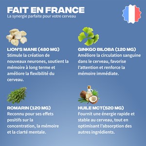 Focus - cure champignon adaptogène