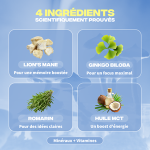Focus - cure champignon adaptogène