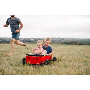 Chariot wishbone wagon 3 en 1