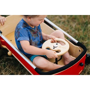 Chariot wishbone wagon 3 en 1