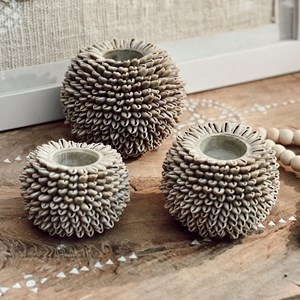 Bougeoir photophore en coquillages