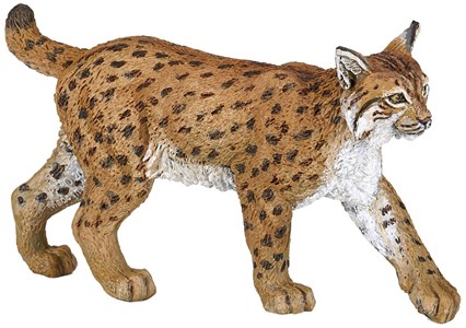 Lynx