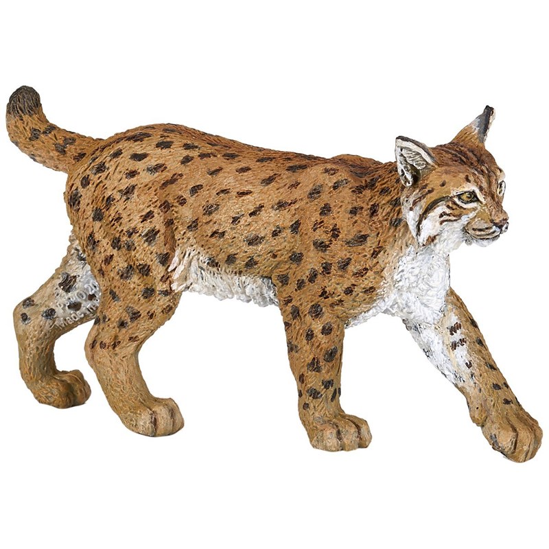 Lynx