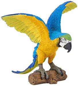 Perroquet ara bleu