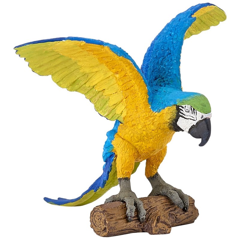 Perroquet ara bleu