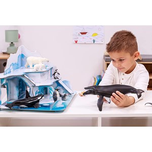 Requin à pointes noires