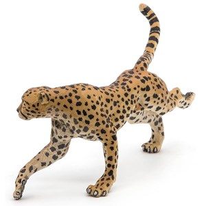 Guépard courant