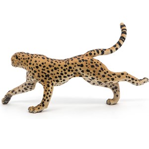 Guépard courant