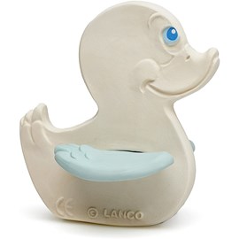 Canard bleu de dentition