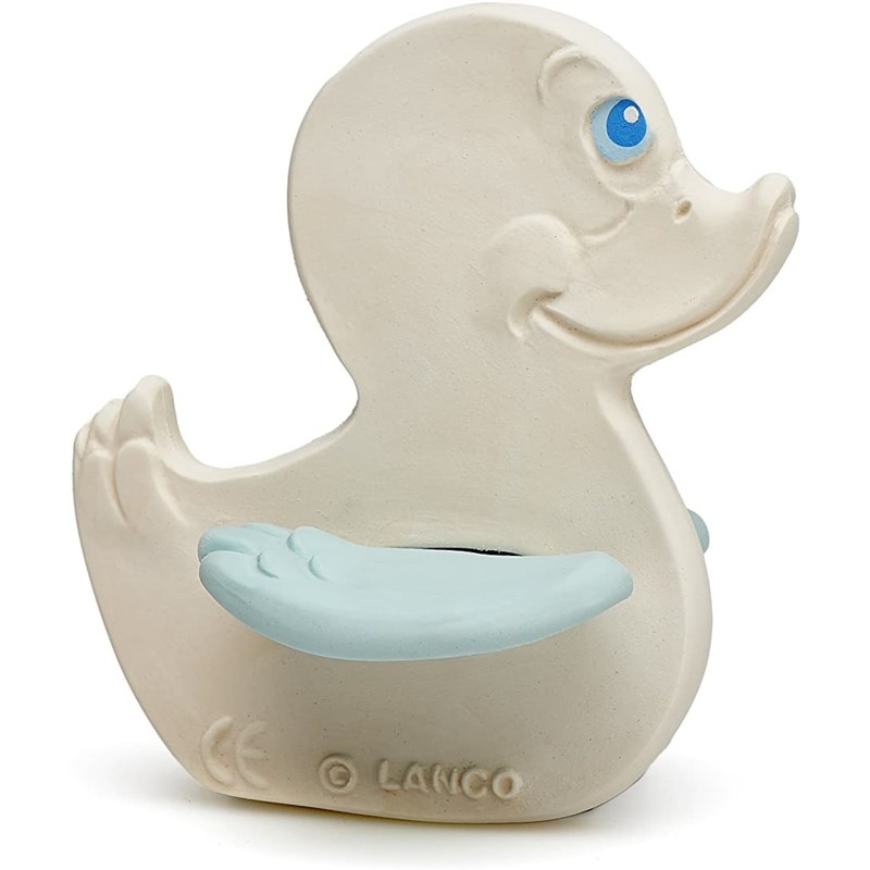 Canard bleu de dentition