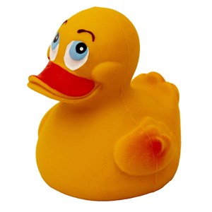 Canard jaune