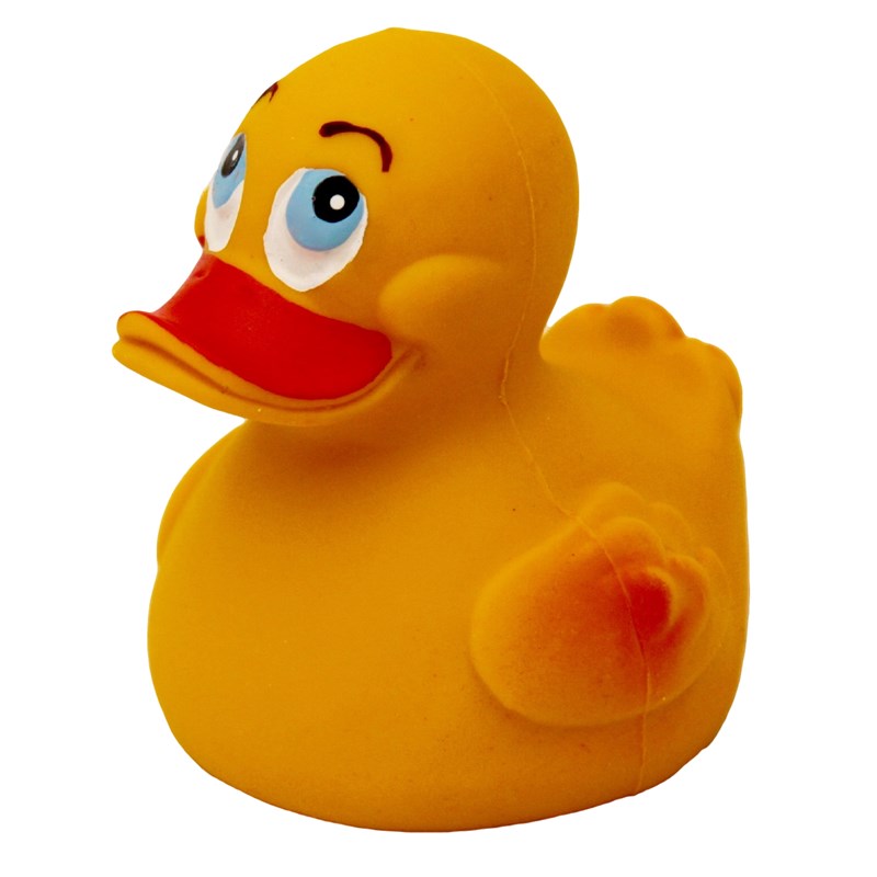 Canard jaune
