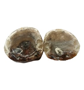 Géodinos en agate