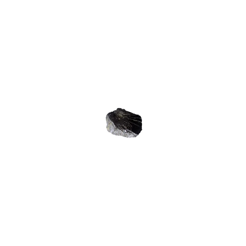Shungite en pierre brute 50 grs