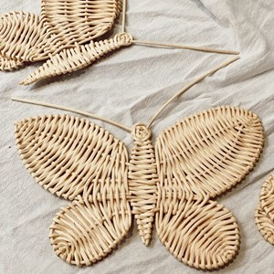 Set de papillons