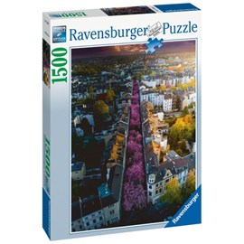 Puzzle 1500 pièces ravensburger bonn en