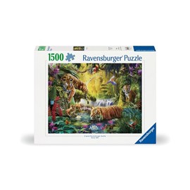 Puzzle 1500 pièces ravensburger tigres a