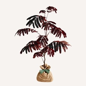 Arbre a soie pourpre idée cadeau