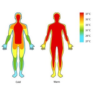 Renouvelez votre matelas 160x200 160 x 200 cm