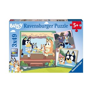 Puzzles 3x49 pièces ravensburger les ave