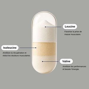 Bcaa 2.1.1 - cure 3 mois - acides aminés