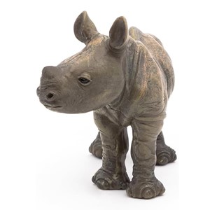 Bébé rhinocéros
