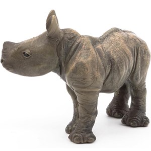 Bébé rhinocéros