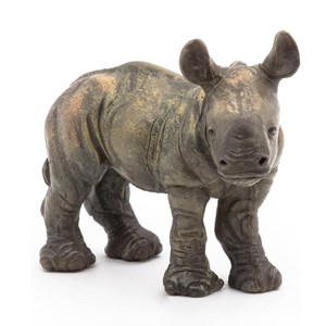Bébé rhinocéros