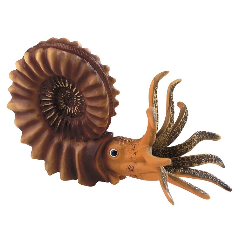 Figurine ammonite