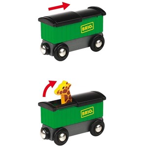 Train safari