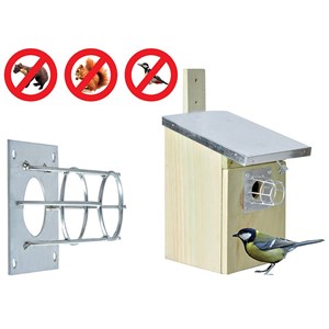 Protection contre les rongeurs