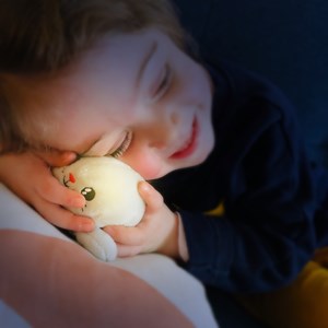 Peluche lumineuse shakies phoque