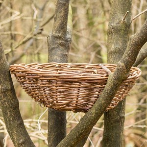 Panier hibou moyen-duc