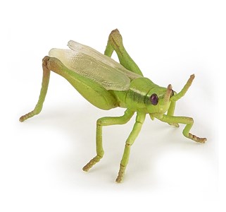 Figurine sauterelle