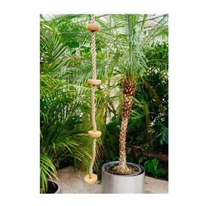Corde à grimper avec marches en bois
