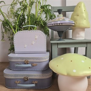 Set de 3 valises campagne