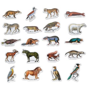 Magnets zoologiques de buffon