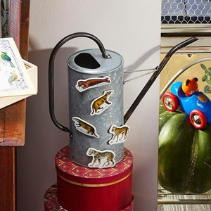 Magnets zoologiques de buffon