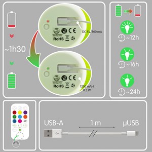 Petite veilleuse souris