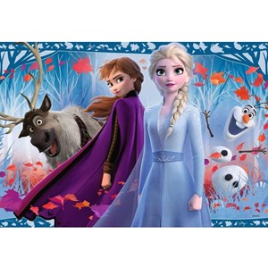 Puzzle disney la reine des neiges 2x12 p