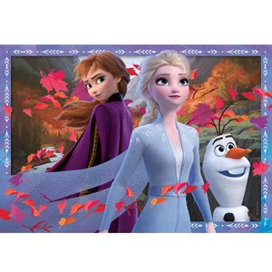 Puzzle disney la reine des neiges 2x24 p