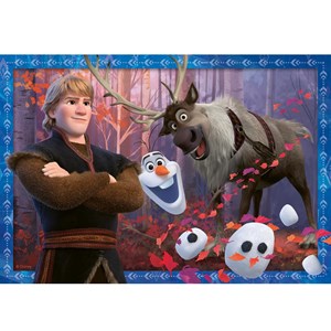 Puzzle disney la reine des neiges 2x24 p