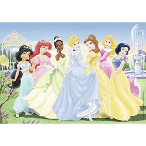 Puzzle les princesses disney 2x24 pcs