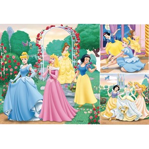 Puzzle rêves de princesses disney 3x49