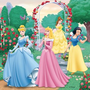 Puzzle rêves de princesses disney 3x49