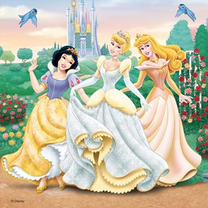 Puzzle rêves de princesses disney 3x49